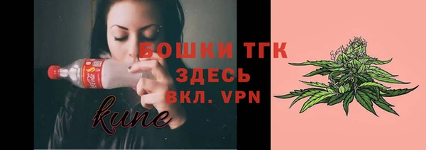 PSILOCYBIN Балахна
