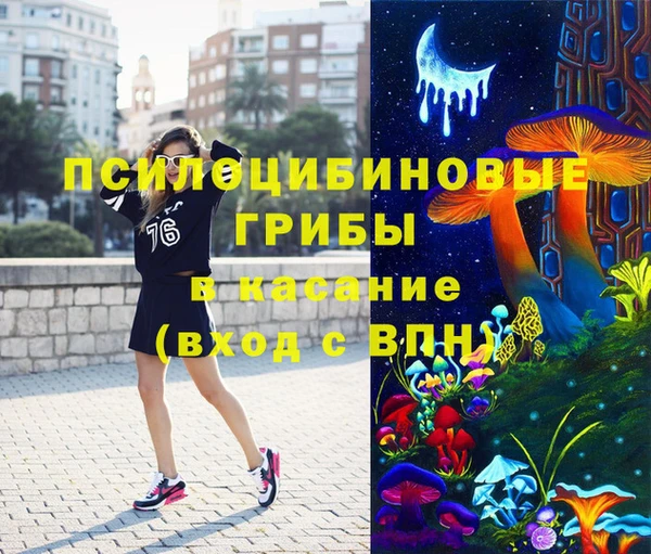 PSILOCYBIN Балахна