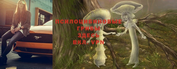 мдпв Балабаново