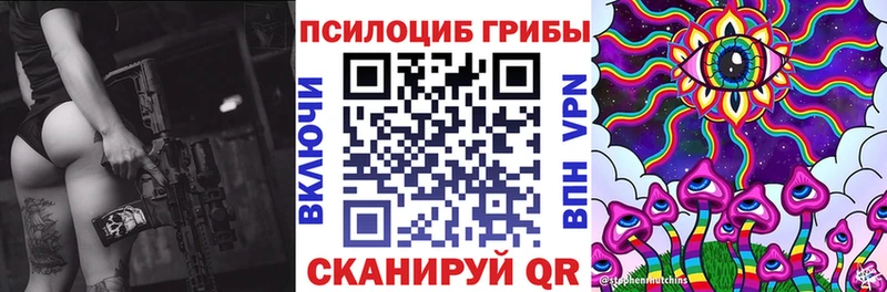 Псилоцибиновые грибы Cubensis  Верея 